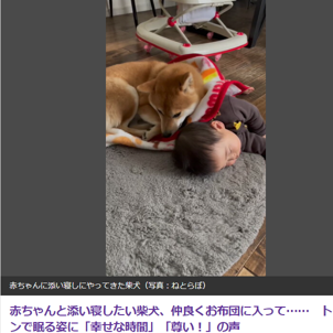 柴犬と赤ちゃんの寝姿に癒やされる！可愛すぎるお昼寝シーン